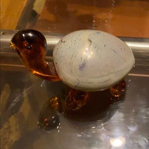 Turtle glasse made